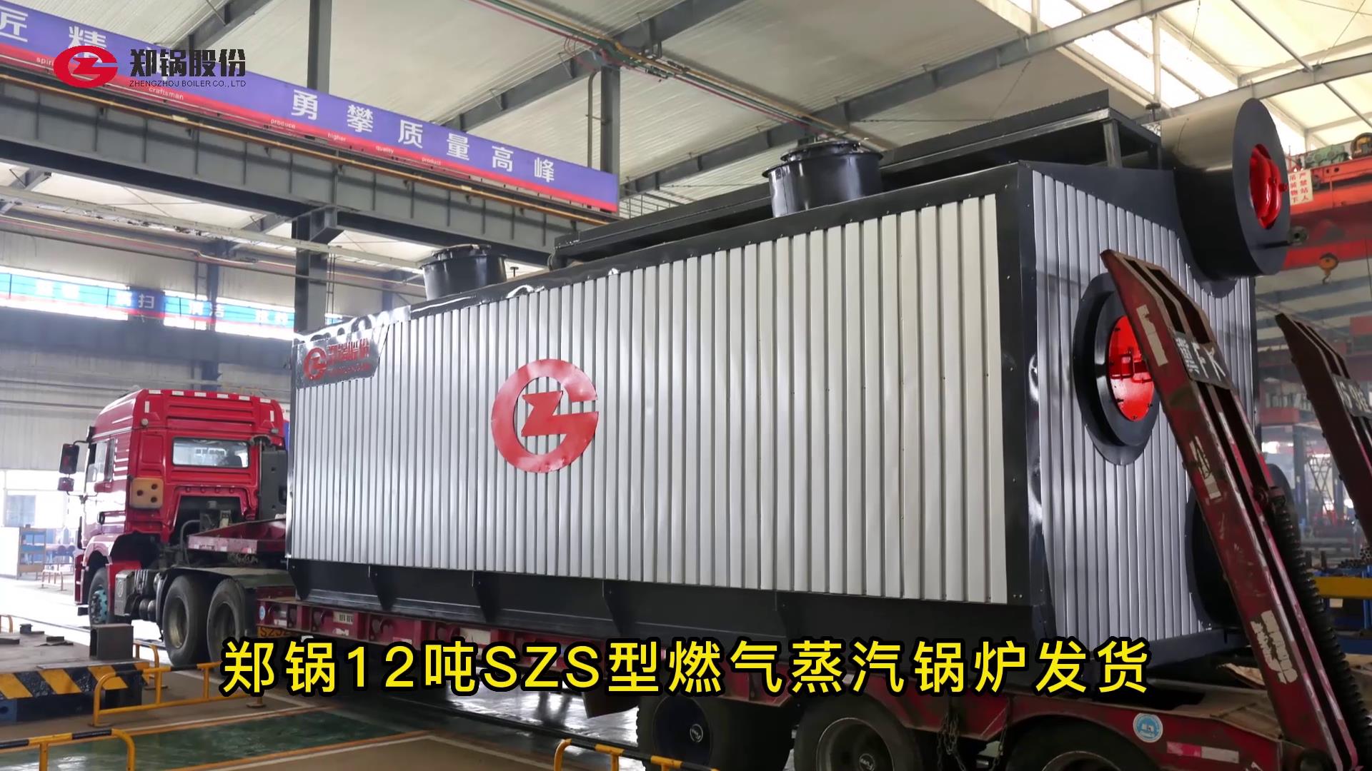 大宝娱乐12吨燃气锅炉发货