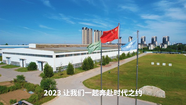 大宝娱乐股份.jpg
