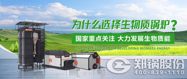大宝娱乐生物质锅炉.jpg