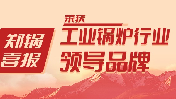 大宝娱乐股份荣获“工业锅炉行业向导品牌”和“出口创汇先进企业”等声誉