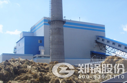 稻壳秸杆生物质发电锅炉 - 大宝娱乐
